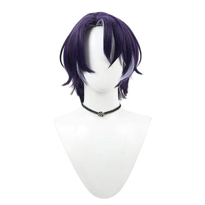 Honkai: Star Rail Dr. Ratio Cosplay Wigs 