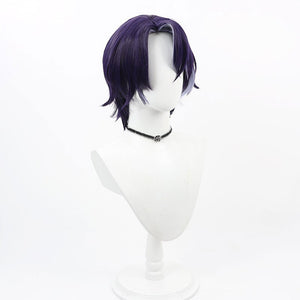 Honkai: Star Rail Dr. Ratio Cosplay Wigs 