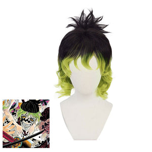 Demon Slayer Kimetsu no Yaiba Giyuutarou Cosplay Wig