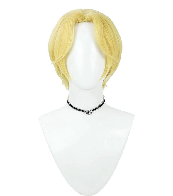One Piece Sabo Cosplay Wigs