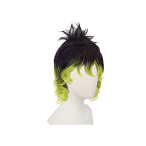 Demon Slayer Kimetsu no Yaiba Giyuutarou Cosplay Wig