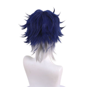 Game Honkai: Star Rail Sampo Koski Cosplay Wig