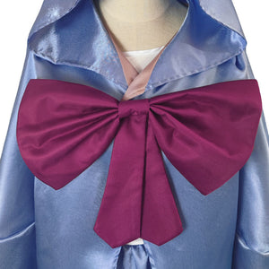 Disney Cinderella Fairy Godmother Cosplay Costume